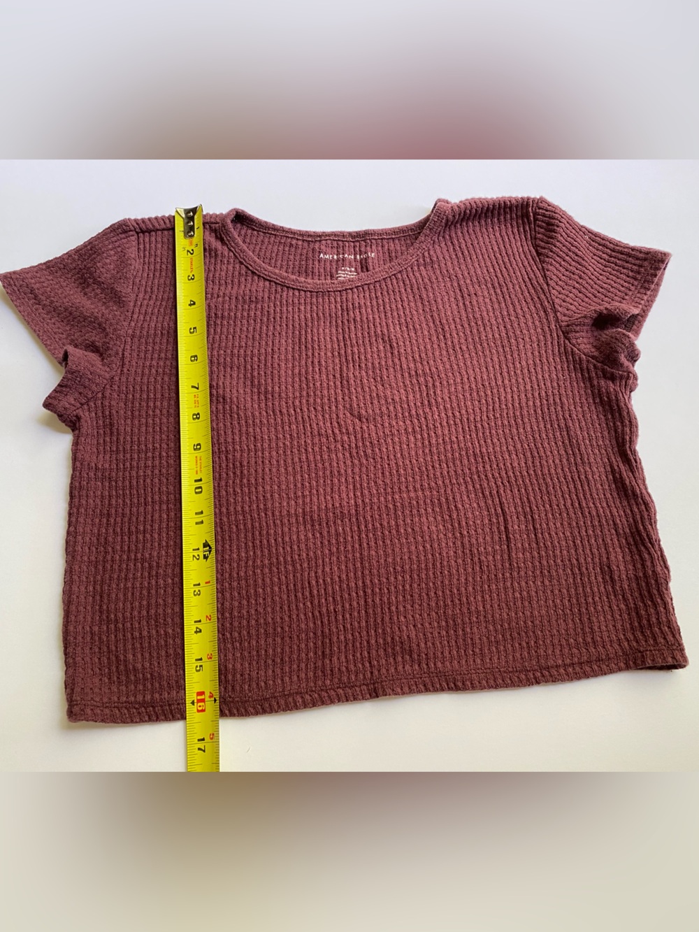 American Eagle Outfitters Mauve Ribbed Crop Top